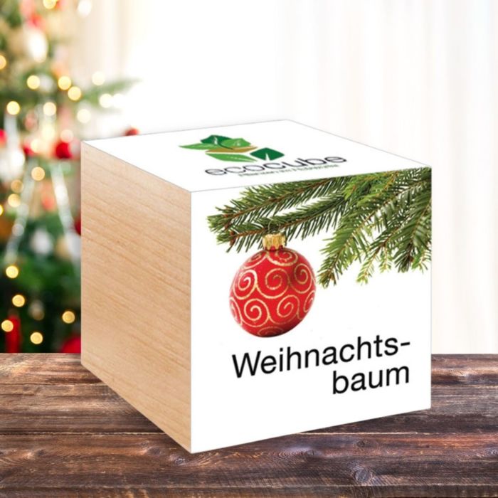 Weihnachtlicher Ecocube - Pflanzen im Holzwürfel